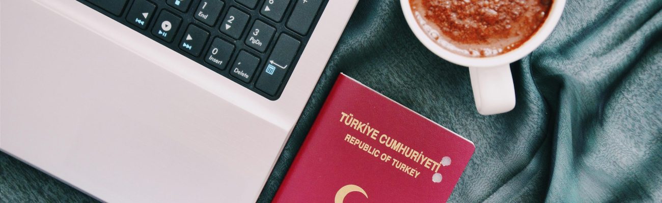 vize danışmanlığı